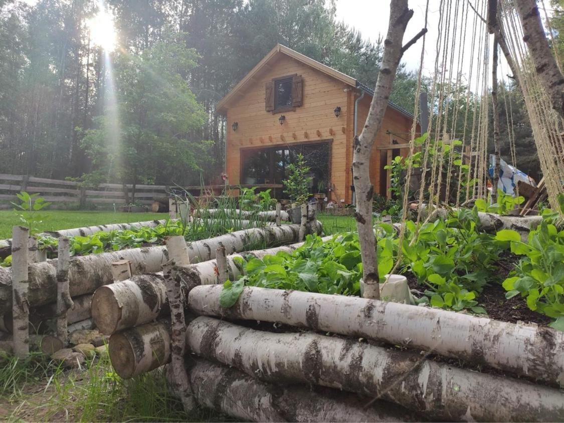 Przystan Zakapiora Villa Muchocin ภายนอก รูปภาพ